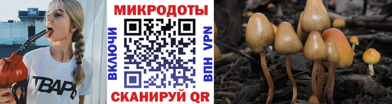 Галлюциногенные грибы ЛСД Карпинск